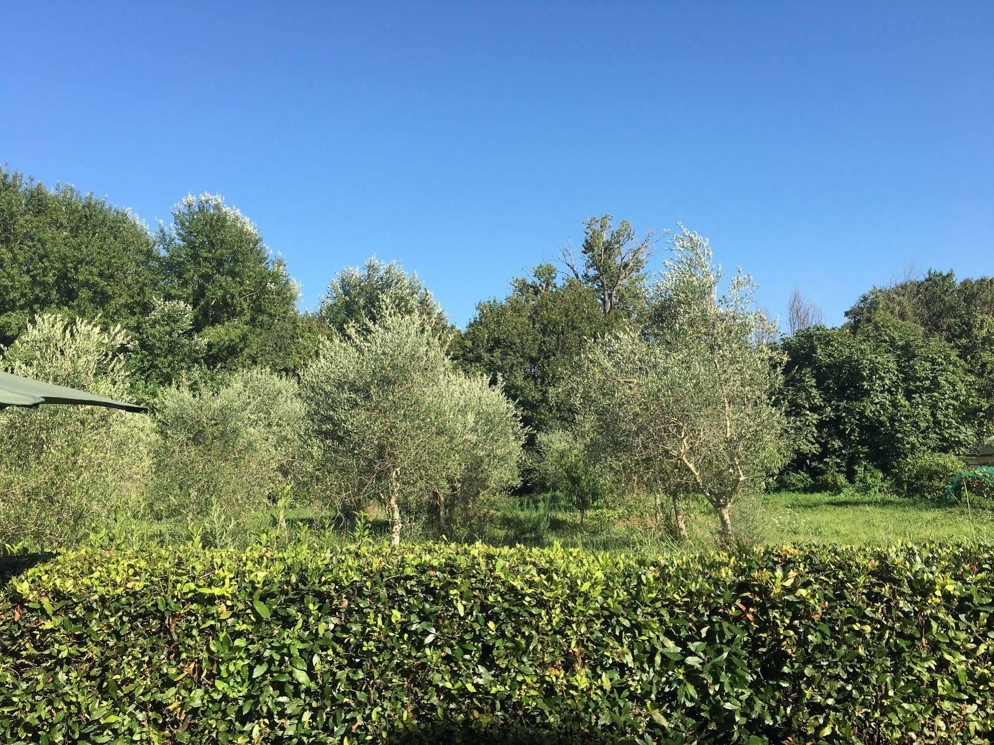 Affittacamere La Casa Di Ugo Ciglione 외부 사진