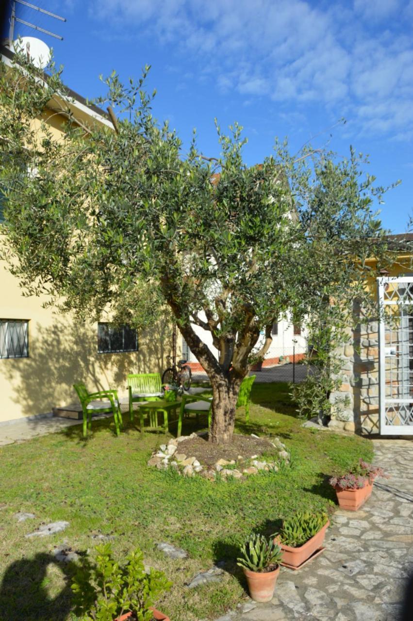 Affittacamere La Casa Di Ugo Ciglione 외부 사진